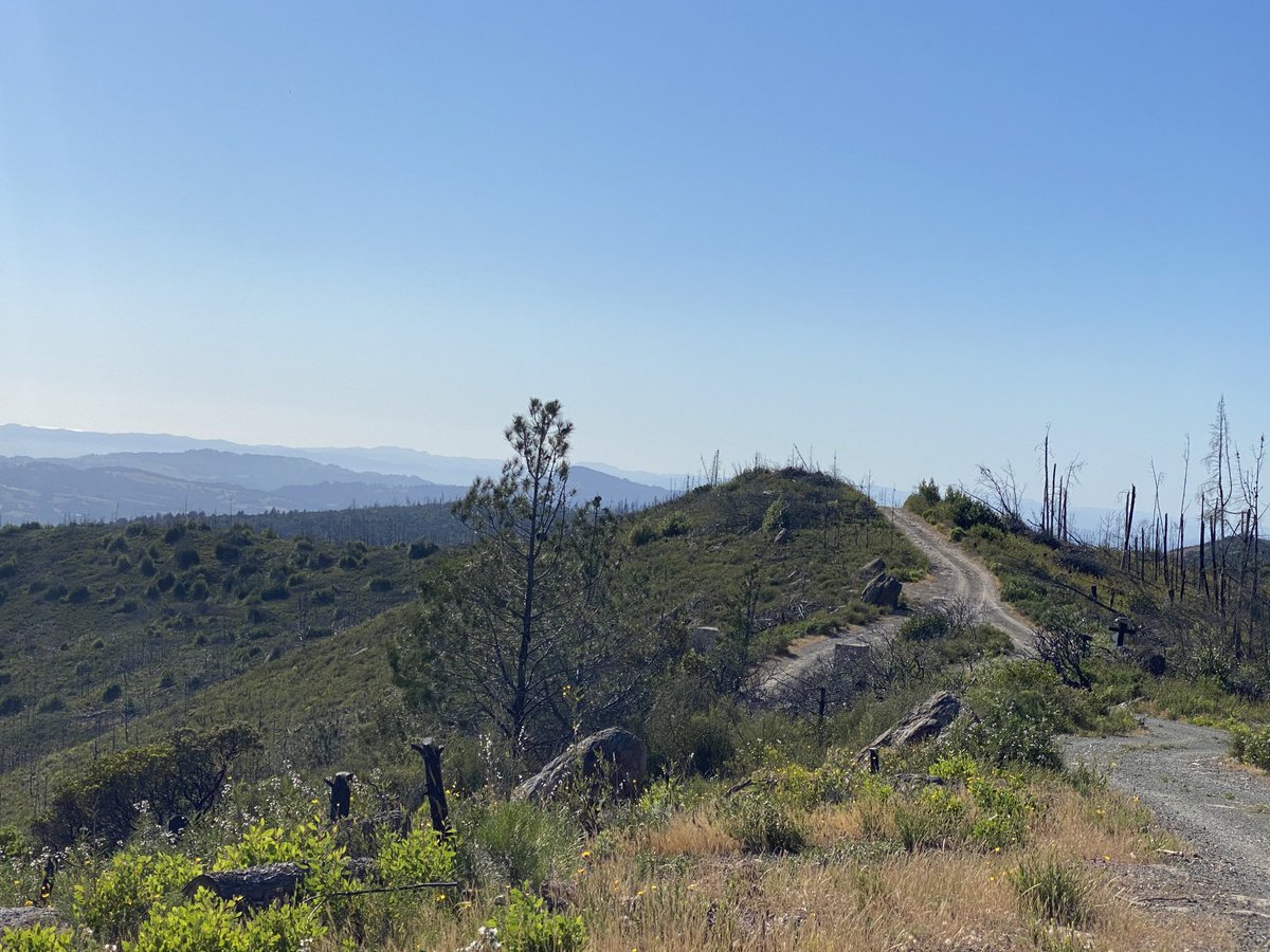 The road to Random Ridge #cabernet #mtveeder #4wheeldrive