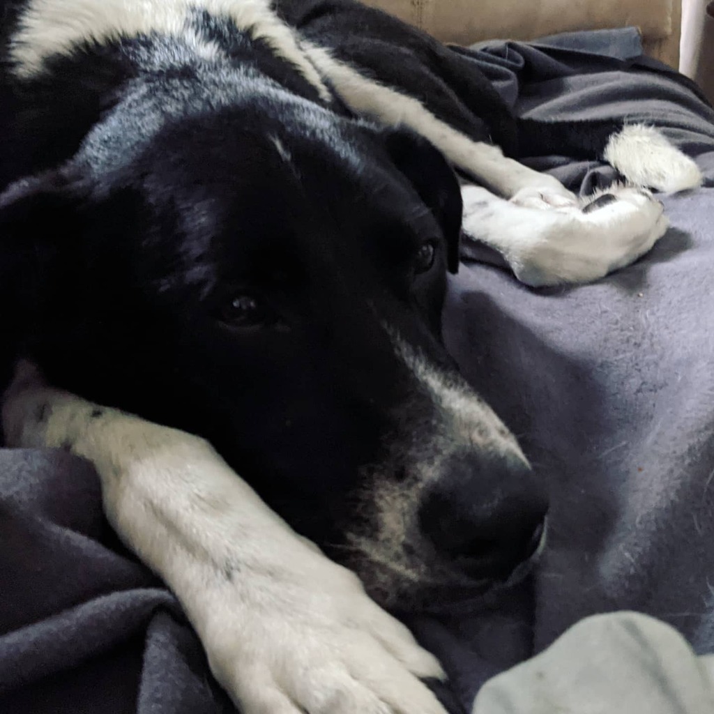 Mike Wilson! tweet media