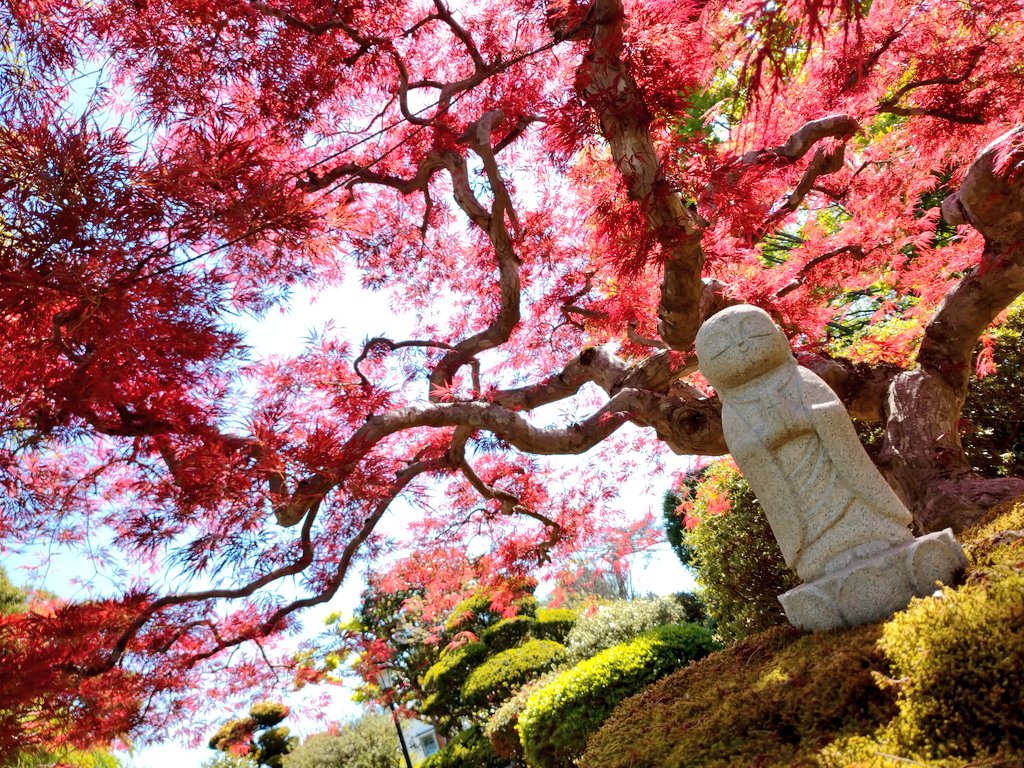 宮沢賢治墓所 花巻 日蓮宗 身照寺 Shinshozi Twitter 宮沢賢治墓所 花巻 日蓮宗 身照寺 Shinshozi Twitter