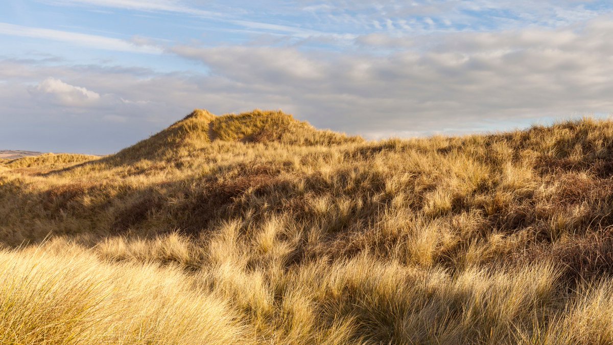 Fun Fact: The biggest sand dunes in England are situated in North Devon at Braunton Burrows.

Have you been to see them?