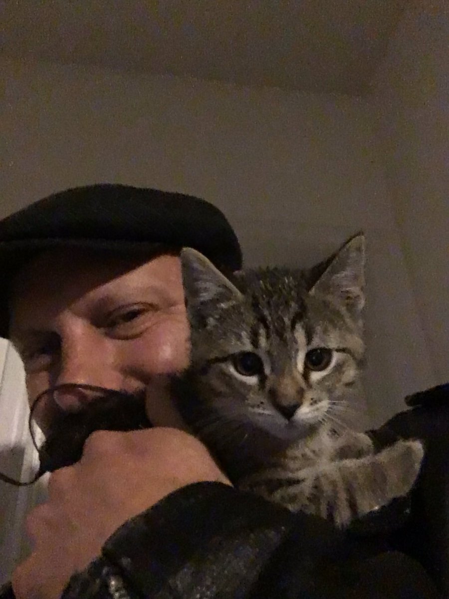 Danbystereo's tweet photo. This parrot that just moved in sure is cute! !
#cat #parrotcat https://t.co/Hr6szDXCnM