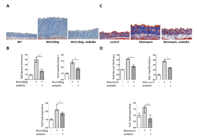 eular_ARD's tweet photo. ❓What is the role for #XIAP in #SSc?
▶️XIAP increased in #SSc fibroblast
▶️TGFb-dependent
▶️XIAP inhibition atenuate #SSc and #WNT pathway
🧐XIAP inhibition to target two core pathways in #SSc?
🔗https://t.co/9xlUbGF59Y https://t.co/5TbeUpNMtX