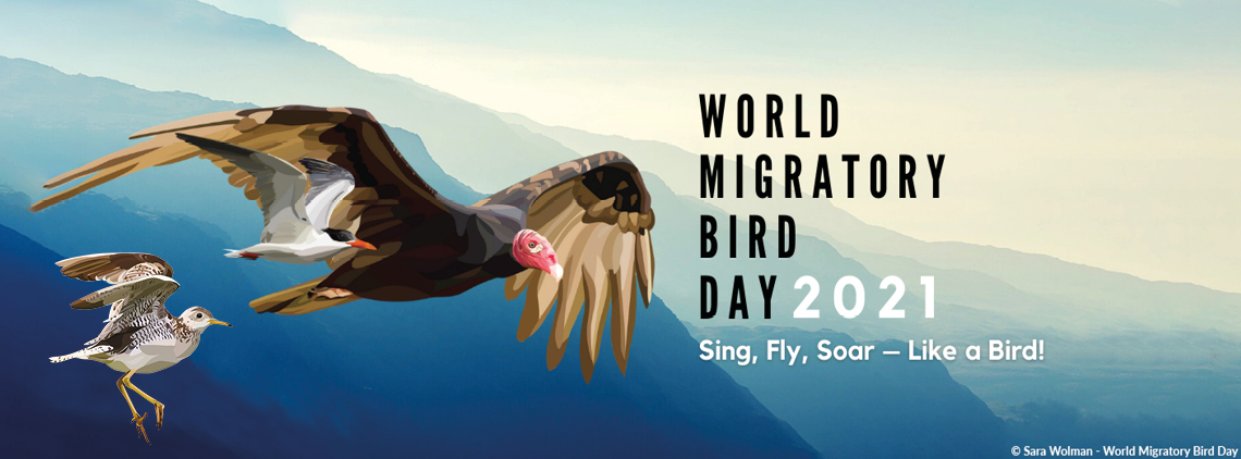  #SingFlySoar like a bird this  #WorldMigratoryBirdDay!This Saturday, people across the world will celebrate the 'birds without borders' that help bind our nations together! Learn more and get involved in some awesome events here >>  https://www.worldmigratorybirdday.org/ 