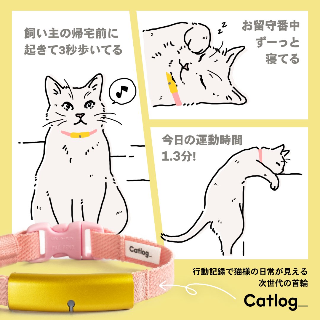 Dr ミケ猫 Drmikeneko Twitter
