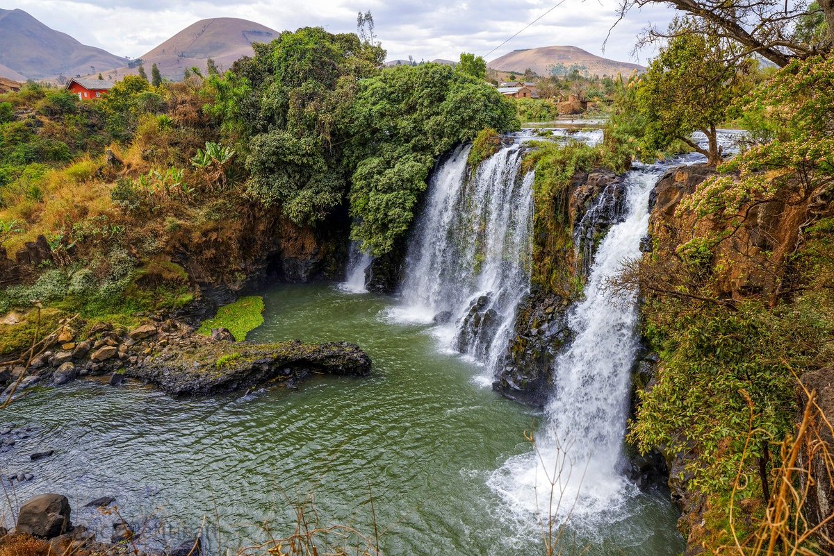 Saviez vous que la plupart des plantes🌳🐒 et des espèces animales que l'on trouve à Madagascar🇲🇬 🥰n'existent qu'à #Madagascar 🇲🇬🤪?
bit.ly/33gxFN0