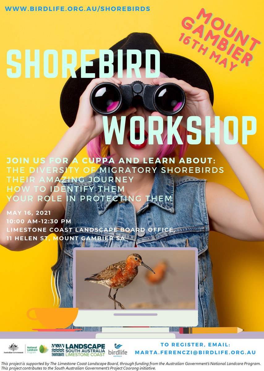 Join  @BirdlifeOz for a Shorebird Workshop in Mt Gambier. https://twitter.com/birdlife_hoodie/status/1390190036558041095?s=20  #WorldMigratoryBirdDay  #shorebirds