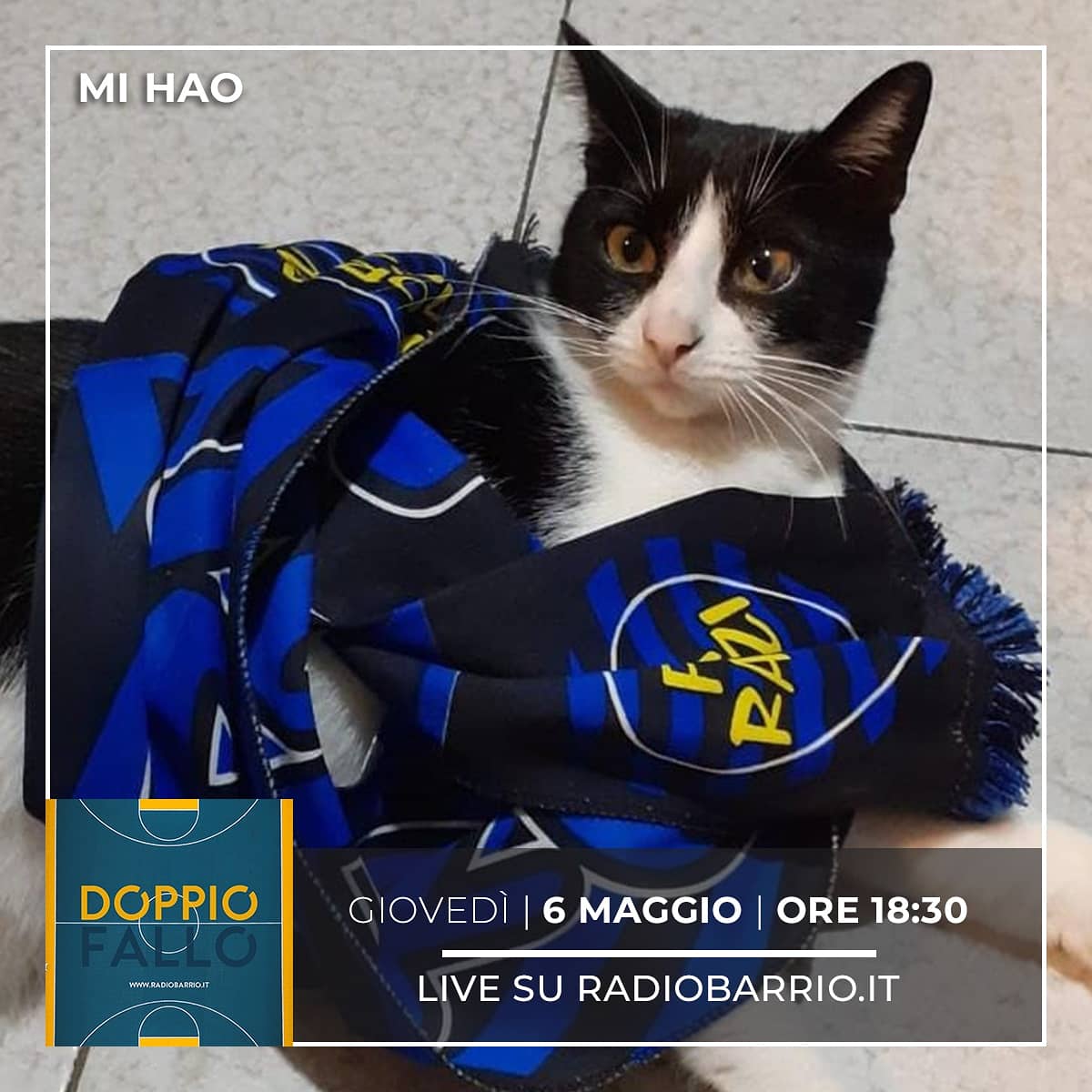 DoppioFalloRB's tweet image. L'Inter vince lo scudetto, la Roma cambia allenatore prendendo #Mourinho, il #ManCity e il #Chalsea sono in #UCLfinal... ma a noi che ce frega che abbiamo problemi in sede che manco te lo immagini.
Comunque ti aspettiamo alle 18:30 per una nuova puntata. #DoppioFallo
Non mancare!