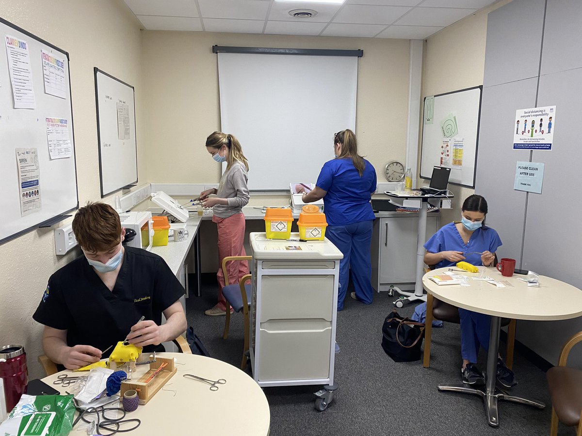 Elizabeth McLennan tweet media