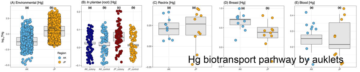 3/11. We investigated mercury transfer pathway from mercury measurements (1) in the breeding & non-breeding local marine environment (as a potential source), (2) in plants at the colonies, and (3) in bird tissues reflecting different exposure times/locations.  #WSTC7  #ContSesh2