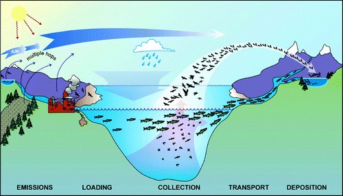 1/11.  #WSTC7  #ContSesh2 Seabirds accumulate & transport contaminants, acting as biovectors. Biovector transport is nicely illustrated on this fig from Blais et al. 2007. But how effects at distant locations (e.g. wintering grounds) affect seabird mercury biotransport is unclear.