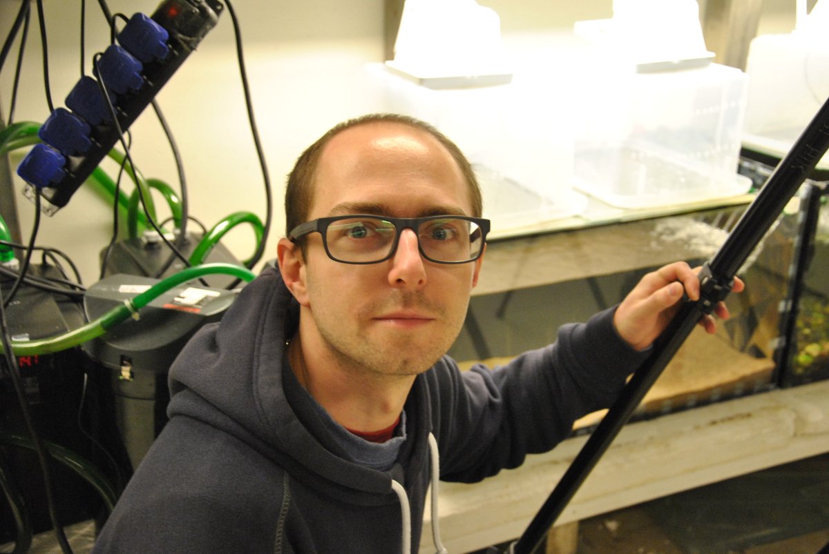 PhD candidate Roman Motyka has been working looong nights while studying effects of different #Substrate (rocks vs. sand) on #Growth and #Behaviour of juvenile #EuropeanEel, so-called elvers