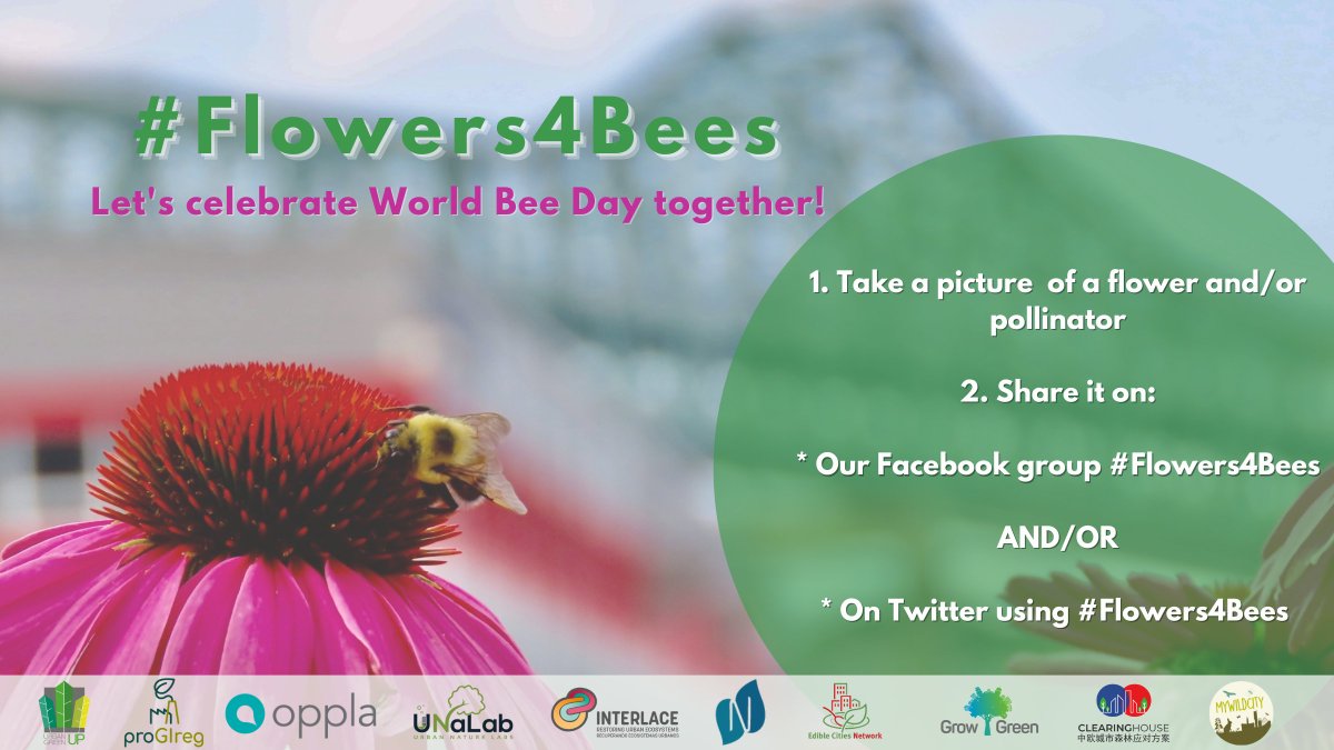 🐝 Interested in celebrating #WorldBeeDay together with us?

UNaLab is together with several other EU-funded projects inviting you to join the #Flowers4Bees social media campaign, which runs until 4 June 🌸

Learn why it is important that you participate: bit.ly/33jcRnZ