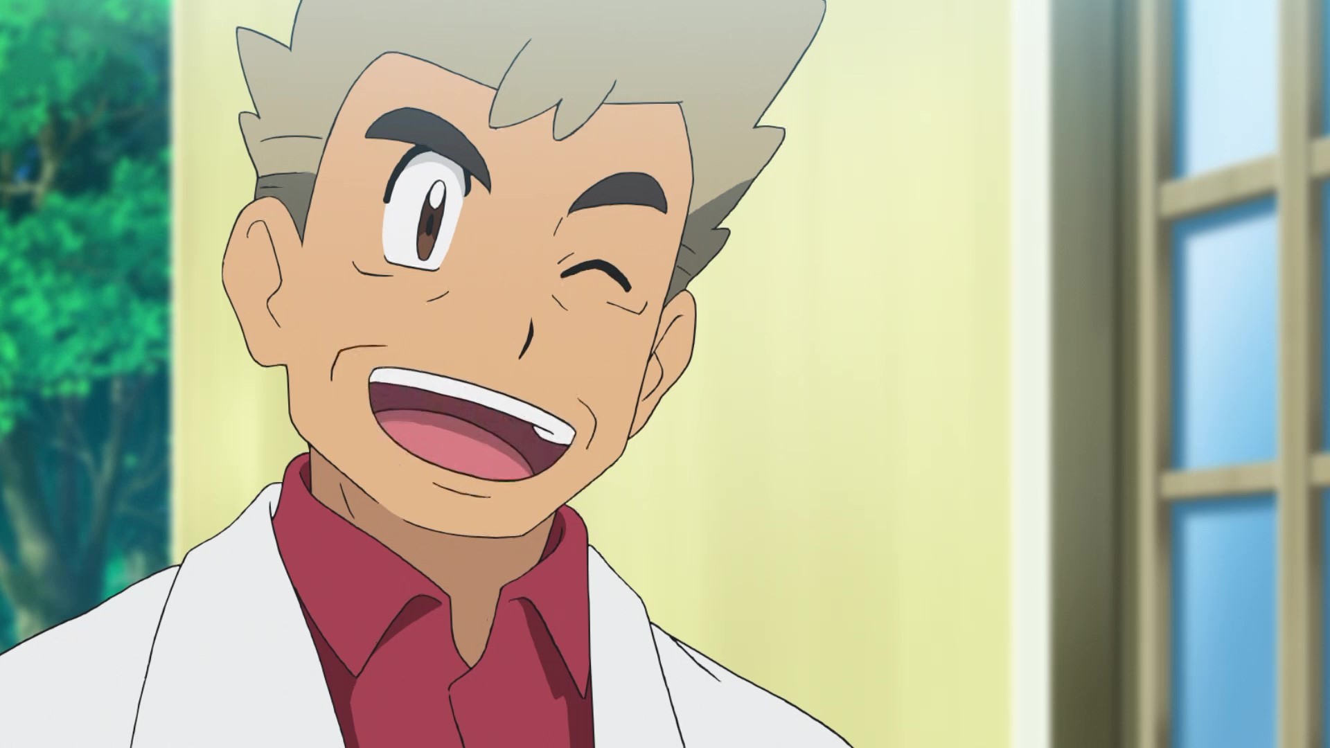 アニメ ポケットモンスター 公式 今日は 博士の日 アニポケ にもたくさんの博士が登場します オーキド博士 サクラギ 博士 マグノリア博士 ソニア博士 ほかにもたくさん ポケモンの謎を解明するため 博士たちは今日もポケモン