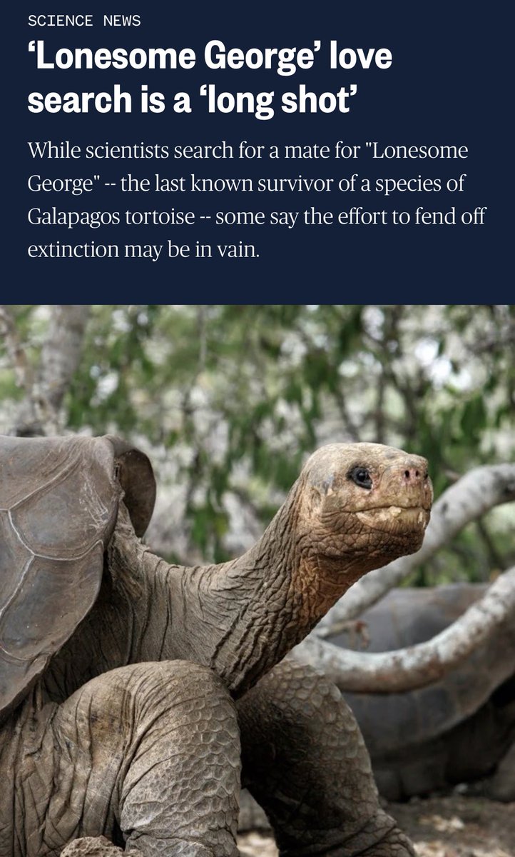 My bacteria when I don’t want them to overgrow overnight 

Vs 

My bacteria when I need them to double for an experiment