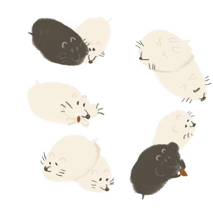 ハムスター 高画質 のtwitterイラスト検索結果 古い順