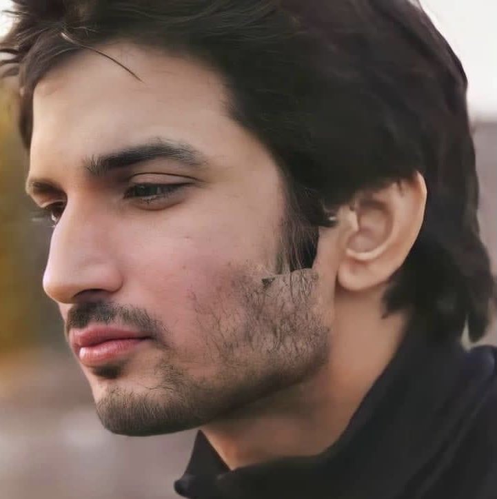 PIYALIBH's tweet photo. “I will continue doing things irrespective of the medium as long as I'm excited about it..”— SSR

Miss you legend 💔 @itsSSR 

Disha Culprits Killed Sushant https://t.co/tDf9eqmQdN