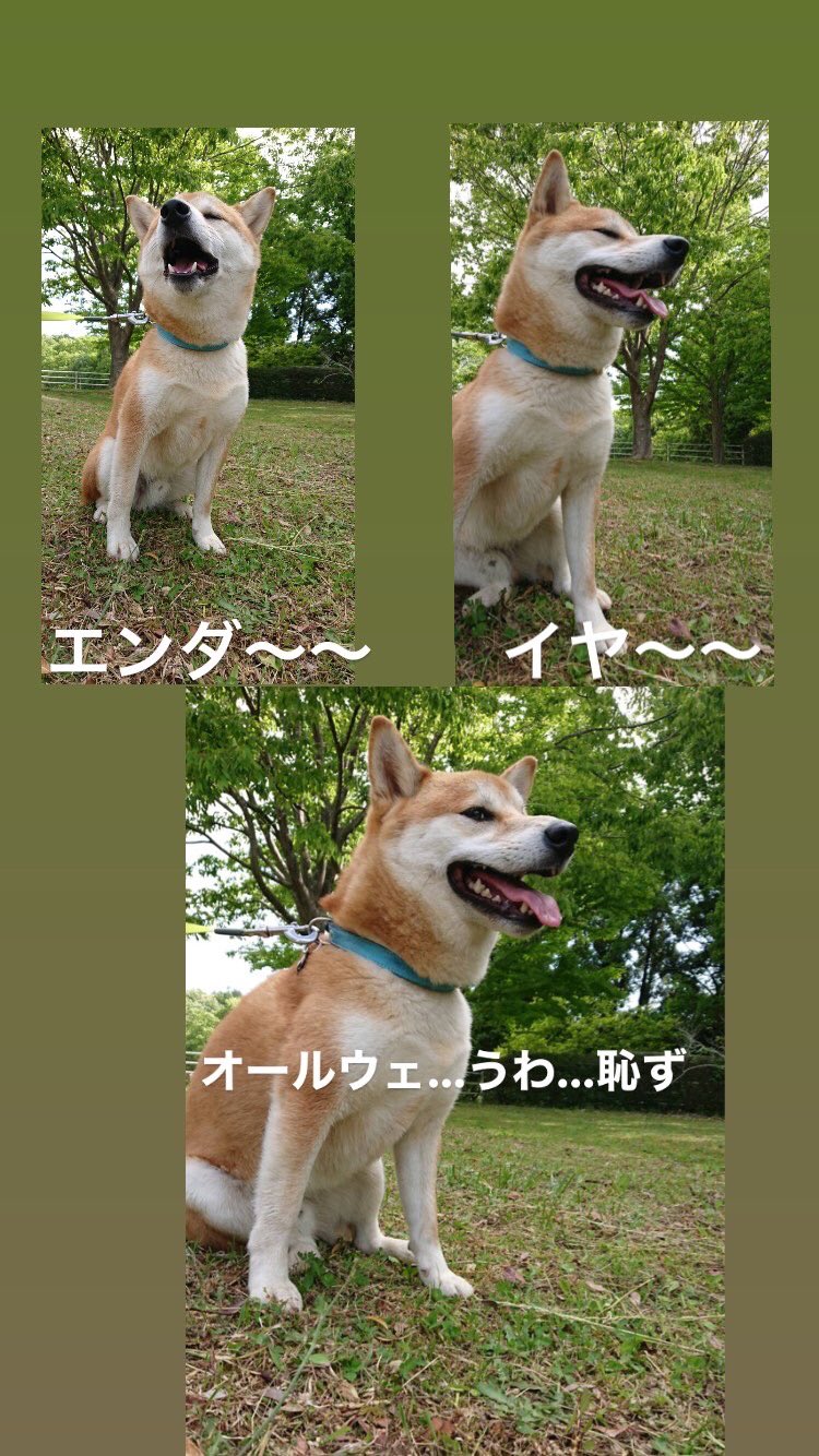 エンダーイヤー Twitter Search Twitter