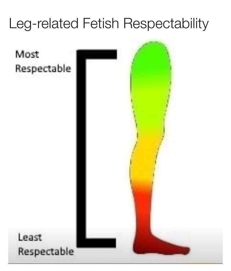the leg man (@mylegdaily) on Twitter photo 