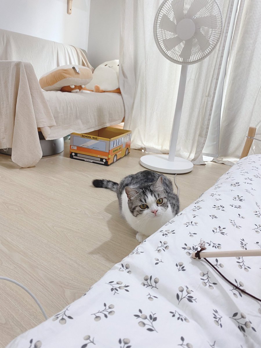 _DNVP2_'s tweet photo. ตะไมชอบนั่งเปงอึ่งอ่าง https://t.co/Qs2RJX4wLy