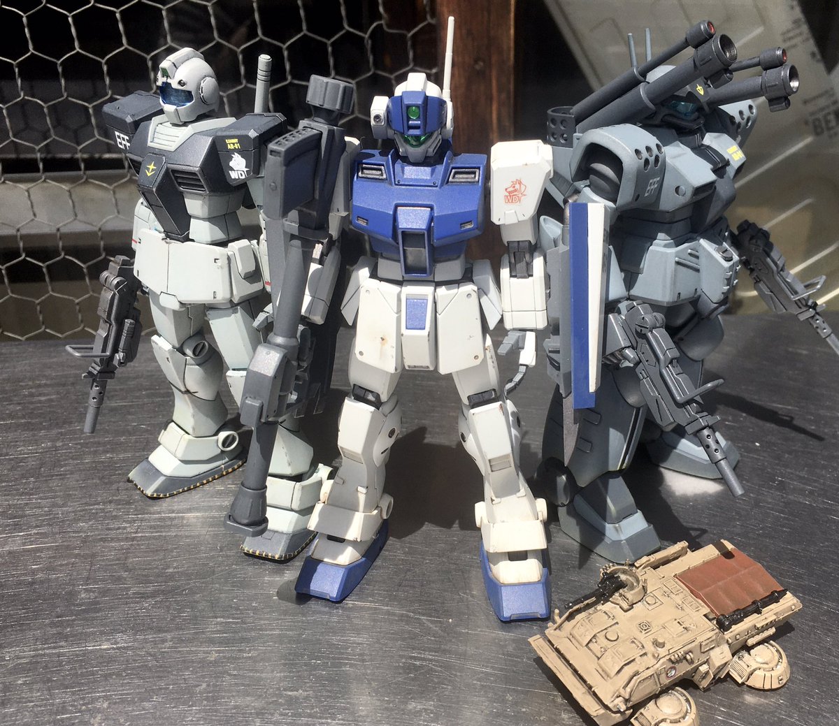 Twoucan 徳島雅彦 Tokuyan Wd