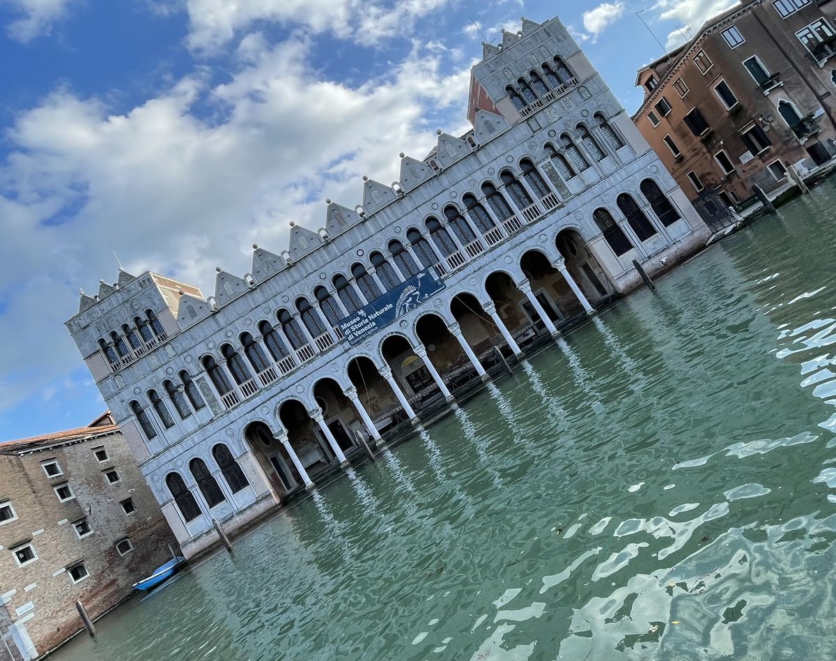 TreviManu's tweet photo. #fondaco #dei #turchi #canalgrande #museo #storianaturale #venezia #venice #venedig #венеция @visitmuve_it @visitmuve_en https://t.co/aMZSpwmqGF