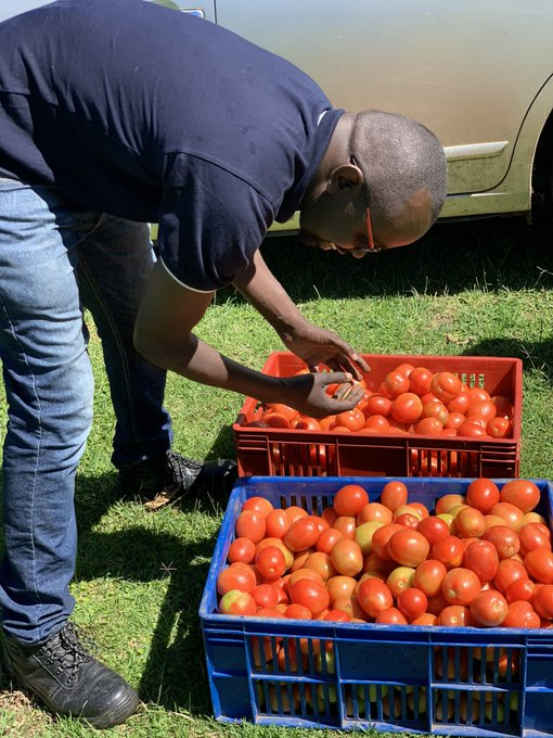 jcniyomugabo's tweet photo. #Farmers need to adopt crop #diversification because it increases agricultural #production, growth of #industries increases the supply of #nutrition and protein, #import substitution and growth in agricultural #GDP. This can be achieved through access to #extension services https://t.co/dMGe1OIh8Q