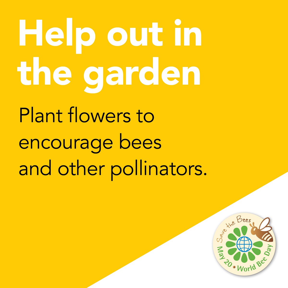 Give a helping hand to our bees...