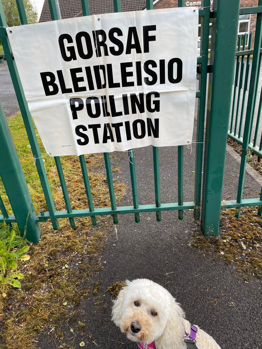 There’s even a polling station at a dog training centre in  @LBofHavering - so  #DogsAtPollingStations squared (Belle approves)