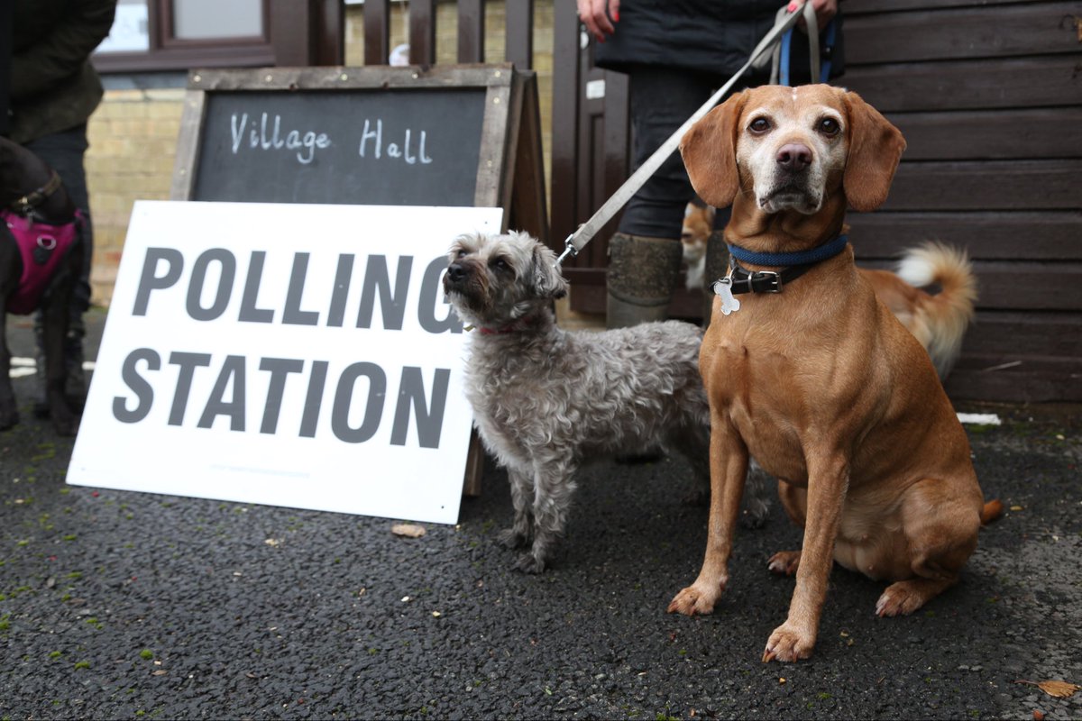 You can read more, including some excellent stats, about the types and number of polling stations in this  @democlub blog:  https://democracyclub.org.uk/blog/2021/05/05/35500-polling-stations/ A great read this  #LE2021  #Senedd2021  #SP21 morning