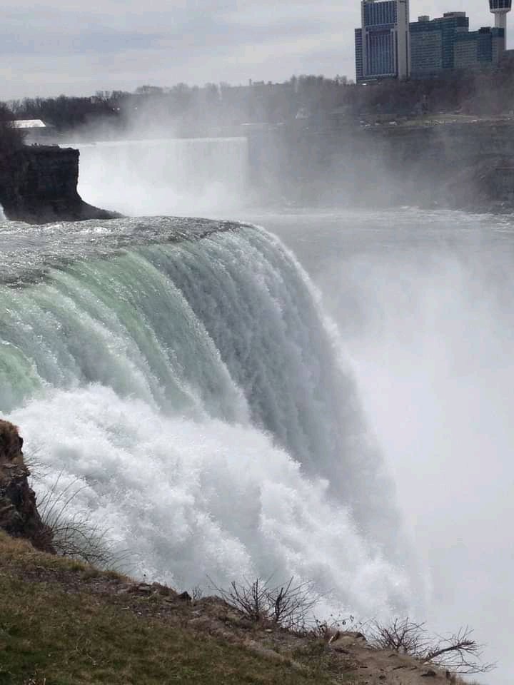 Arnold Rodriguez tweet media