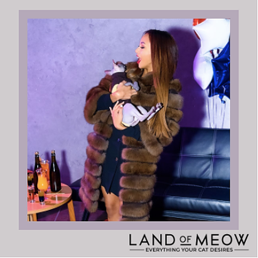 LandOfMeow's tweet photo. Land of Meow for the fabulous and fun

For “Every Kind of Mother” ™️

#mothersday #catmom #catsofintsagram  #mothersdaygift #love #happymothersday #mom #mother #motherhood #gift #momlife #stylish #instastyle #Instafashion #catlife #catlover #catlovers #gato
#landofmeow https://t.co/uoW7mmFT5G