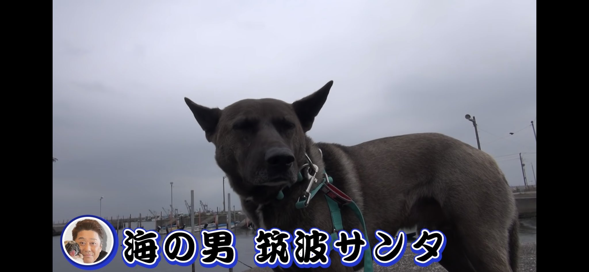 筑波サンタ Twitter Search Twitter