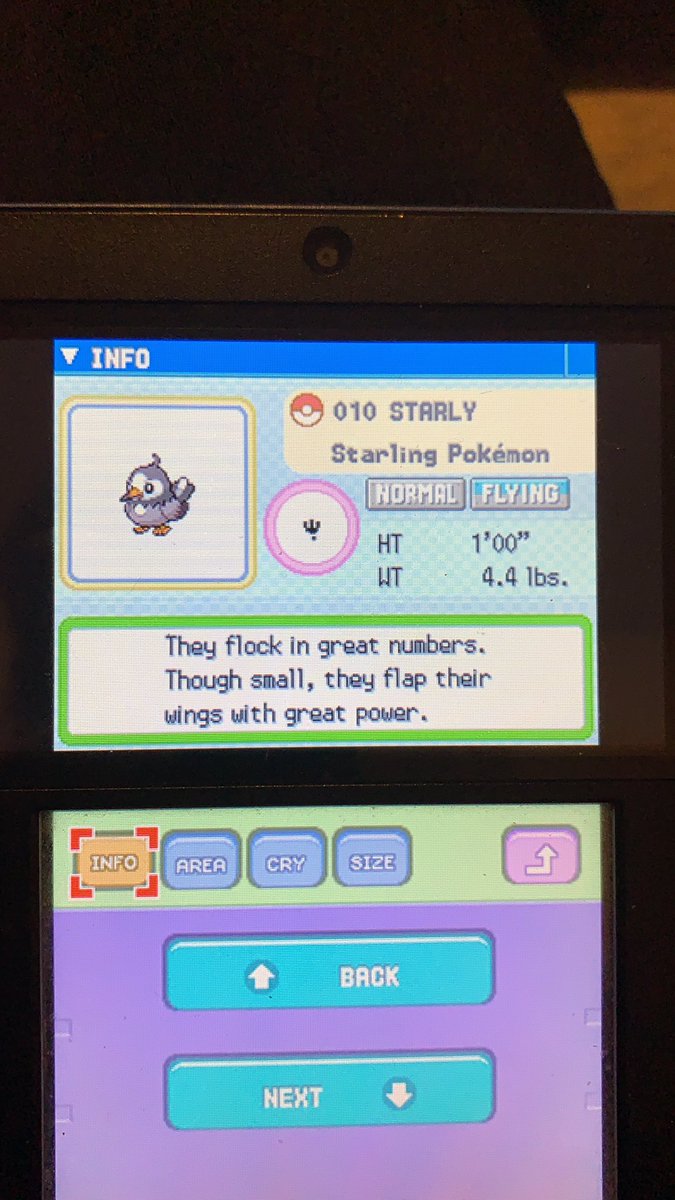 nickplayslife's tweet photo. @theadam32 @ilovejapan124 Starly https://t.co/bvvVBB9qQy