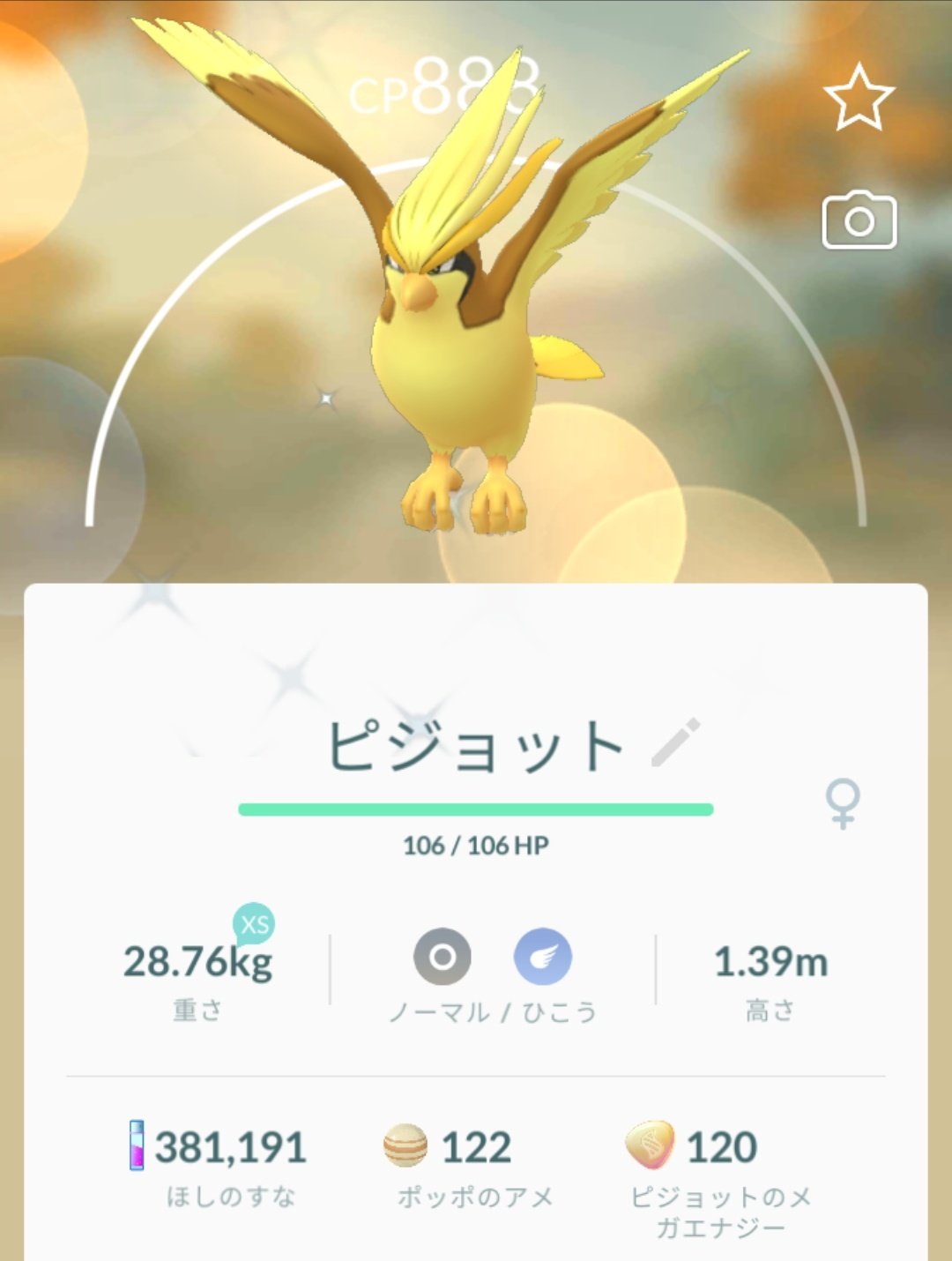 Yumeka スペシャルリサーチのリワードで色違いのピジョットもろた ポケモンgo ピジョット 色違い T Co Seiyrrfv8o Twitter