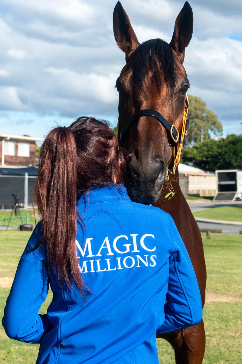 mmsnippets's tweet photo. Look who's arrived at the Gold Coast.
14 time Group One winner Melody Belle looks outstanding as she prepares for Saturday's Hollindale Stud, then the Doomben Cup before being offered at the National Broodmare Sale later this month.
#SheWillShine #RecordBreaker https://t.co/dQcBJUMzmC
