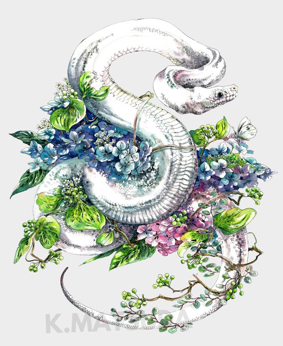 「leaf white snake」 illustration images(Popular)
