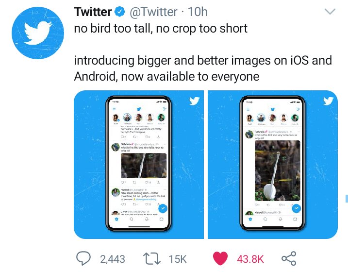 prodiggyblog's tweet image. Major Integration: @Twitter recently announced "Bigger" &amp;amp; "better" image experience for user of her platform, available on both iOS and Android. 

Will this in anyway improve users Experience?? What do you think? 

#twitter #twitterfeature #socialmedianetworkingapp #tech #pbtech