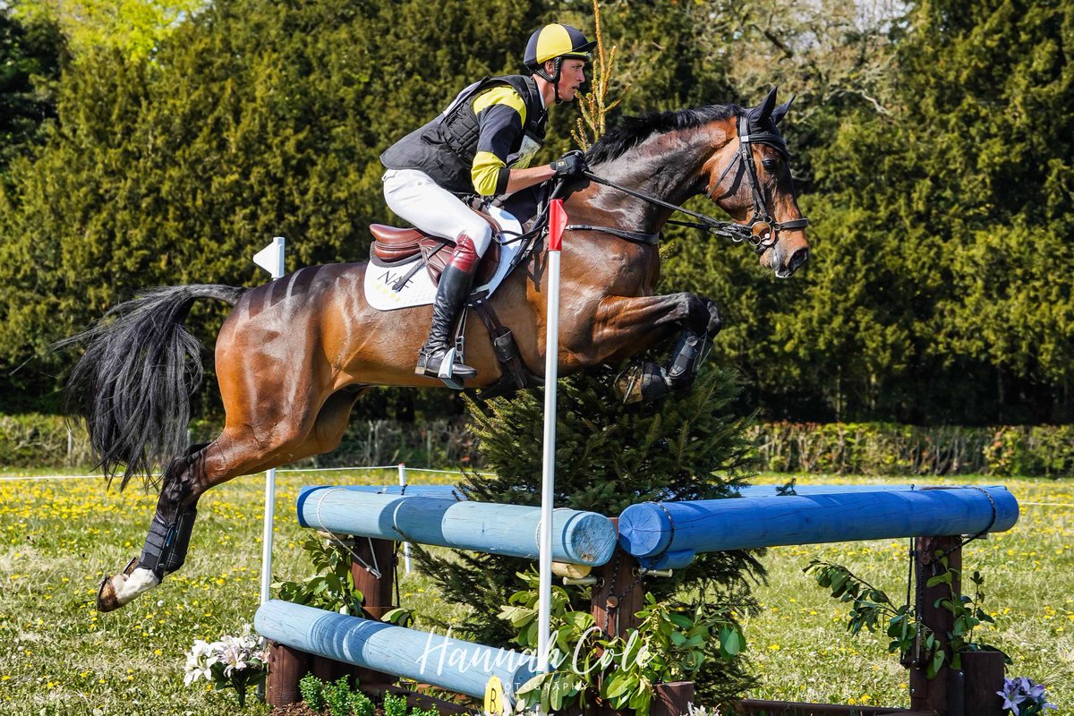 Picture perfect! <a href="/WILLRAWLIN/">Will Rawlin</a> &amp; The Dominator PFB gleaming (thank you to our loyal supporters <a href="/nafuk/">@nafuk</a>) and making a very neat bascule <a href="/MusketeerEvents/">Musketeer Events</a> <a href="/CotswoldLadyB/">Countess Bathurst</a> Cirencester Park. Great venue, superb event, talented horse &amp; rider!
Fab photo thanks to #HannahCole