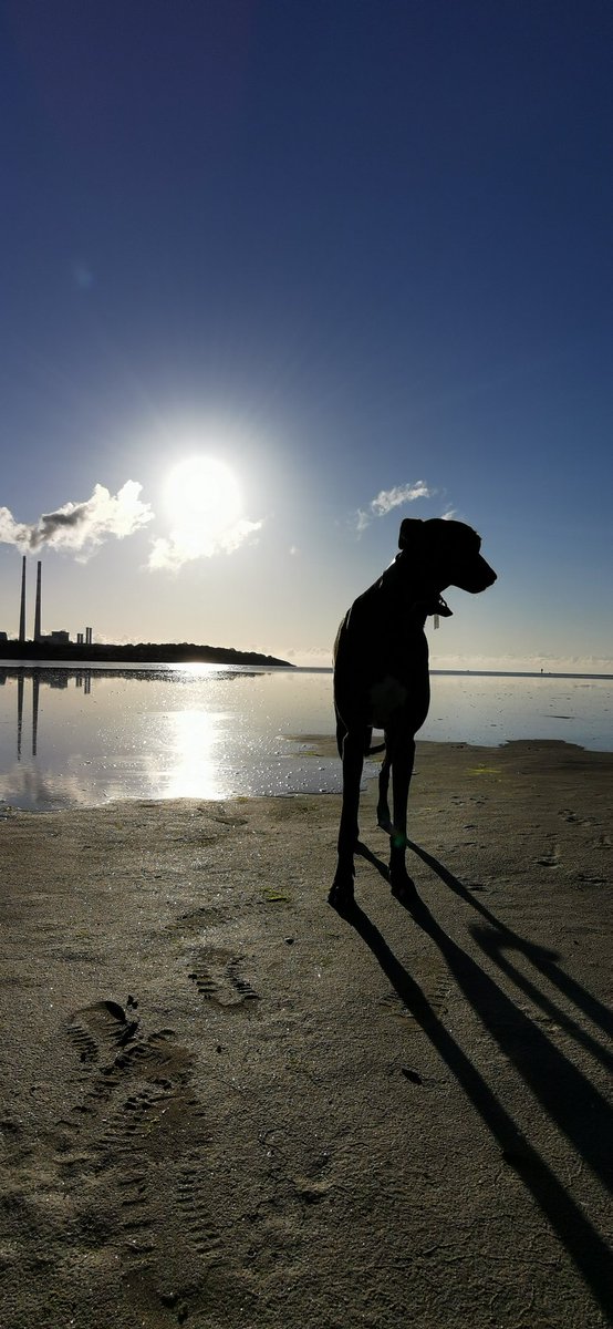 Early morning stretch in #sandymount
Have a great Friday Eve 😉