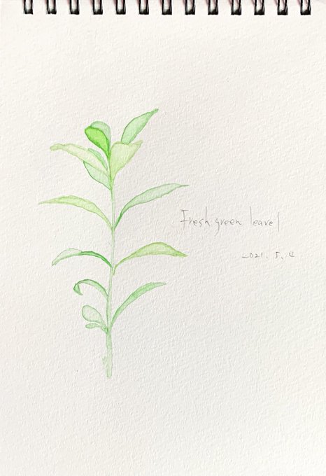 雑草のtwitterイラスト検索結果 雑草のtwitterイラスト検索結果