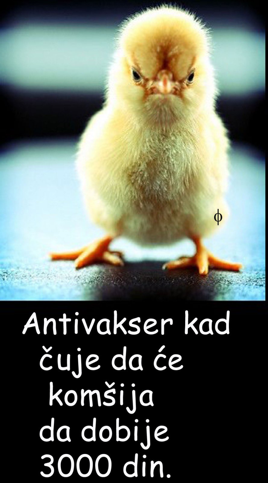 E0s3bCGWQAIjoaJ?format=jpg&name=large