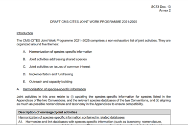 dkachelriess1's tweet photo. .@CITES ' SG @ivonnehiguero and @BonnConvention 's ES @fraenkelamy jointly introducing Agenda items 13 and 14 relating to cooperation between the two Conventions. Annex 2 of https://t.co/OTK9vaRVdG contains draft joint work programme for 2021-2025, incl. on #sharks 🦈 https://t.co/9k2xgBRHDZ