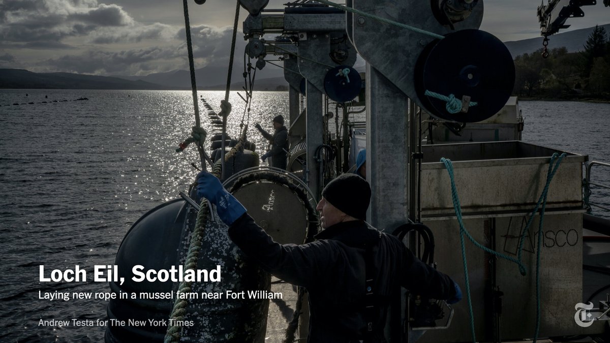 Scotland's seafood industry has been hit hard by Brexit.Many fishing communities voted to leave the EU, lured by promises of a “sea of opportunities.” But increased red tape has hampered exports, leaving catches spoiled and boats stuck in harbors. https://www.nytimes.com/2021/05/06/world/scotland-election-brexit-independence.html?smid=tw-nytimes&smtyp=cur