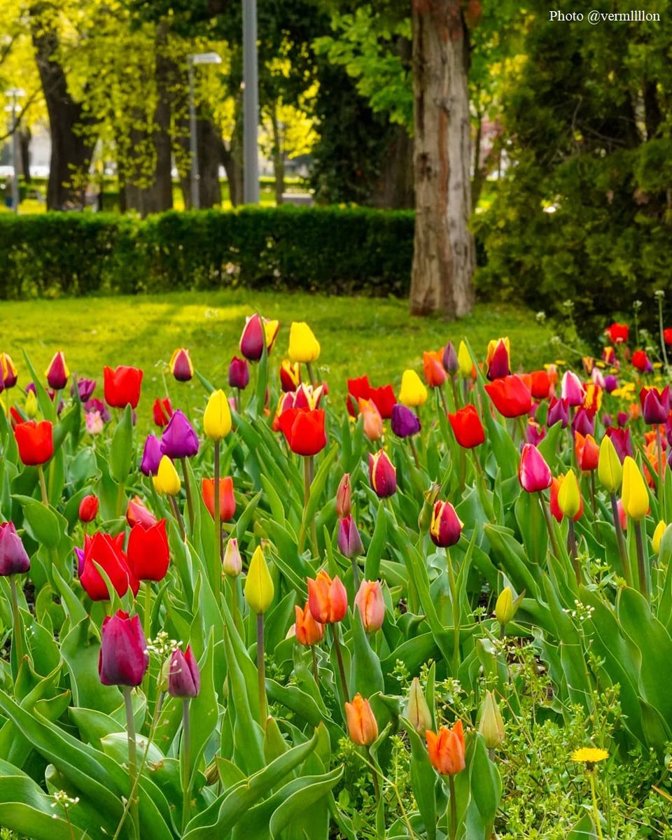 Cluj Tourism tweet media