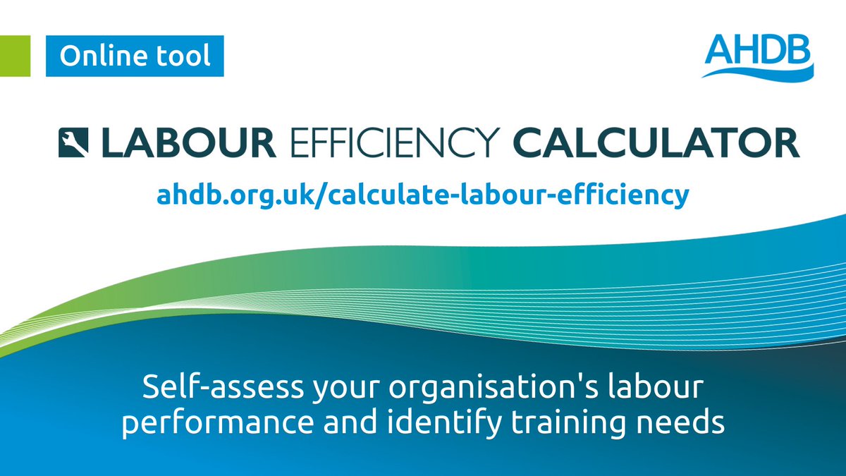 Want to know if you have the right tools, skills &amp; evaluation methods to help your business meet its goals as efficiently as possible? 

Our new Labour Efficiency Calculator will help you identify areas that need focus &amp; propose resources. 

Get started: ahdb.org.uk/calculate-labo…