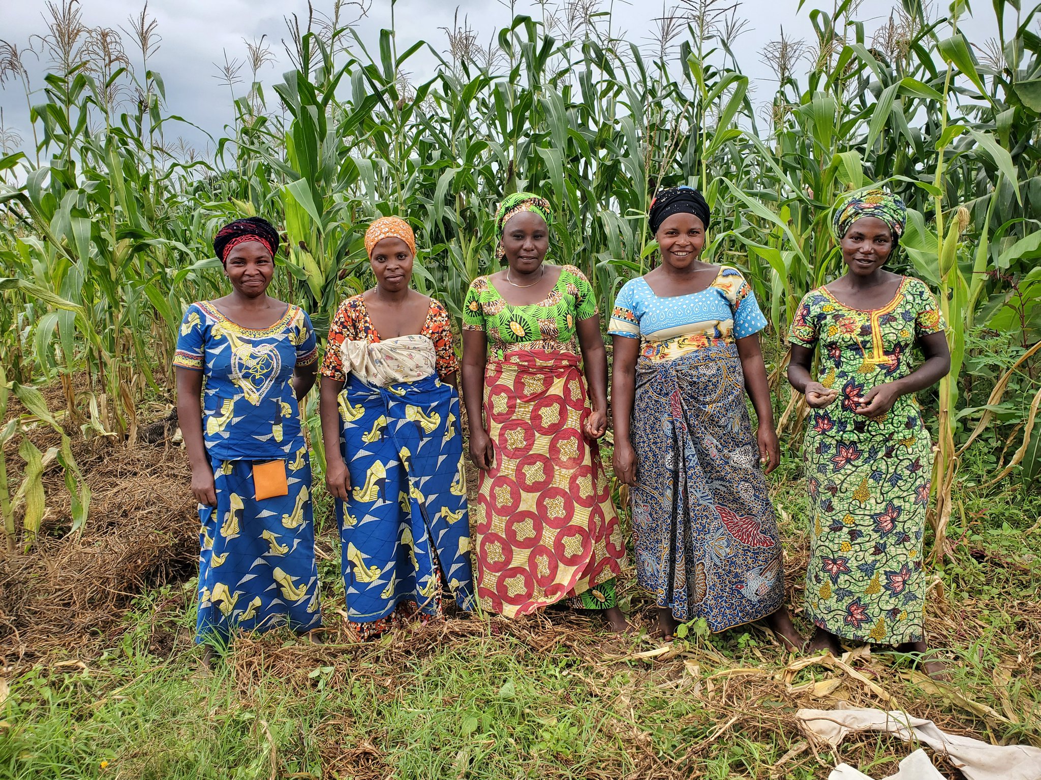 HealthyFoodAfrica on X: If you want an introduction to the work we do  locally in 10 Food System Labs in #Africa , read the first round of FSL blog  post series published on our website. : Sharon Shaba  t.colAeoprQEvJ #H2020 #FoodSystems t.co ...