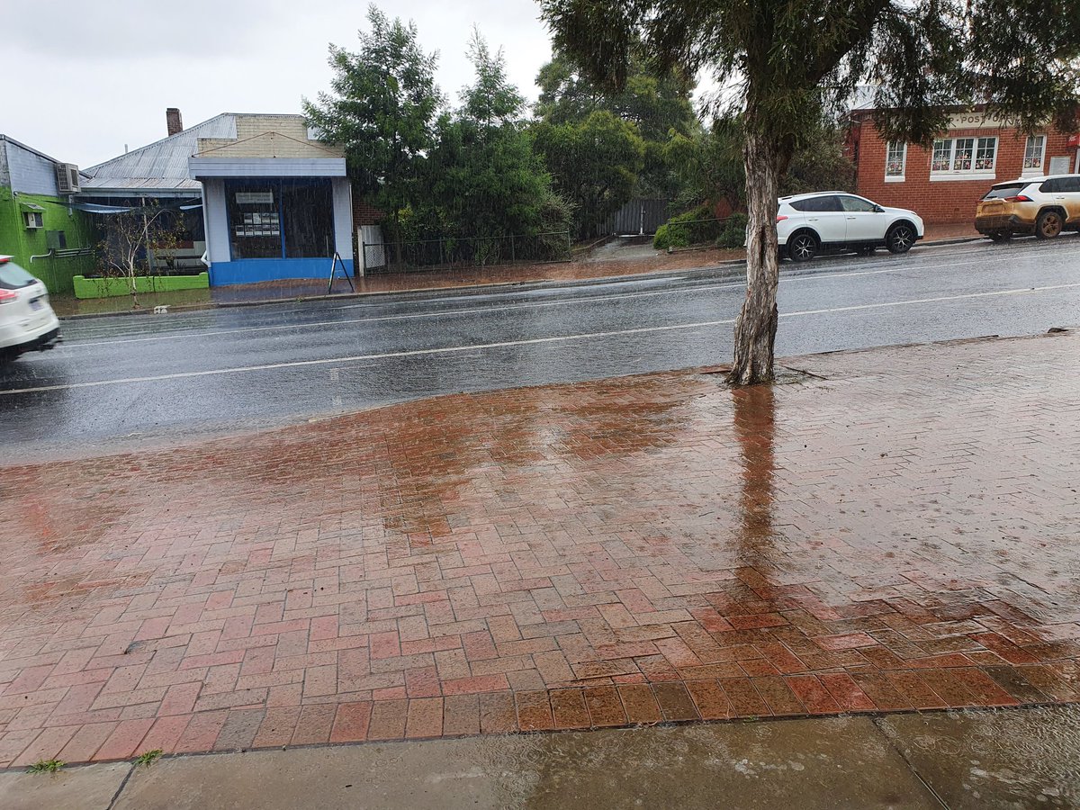 Nearing 100mm of rain for the week, we're looking out the window thinking we need to start negotiations on new crop rice pricing