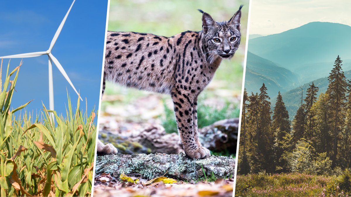 🆕 It's official❗

The <a href="/EU_Commission/">European Commission</a> will invest 💶 €5.4 billion in new #LIFEprojects -  60% more than the previous period! 

🔹€3.5 billion will go to environmental projects 🌲🐻
🔹€1.9 billion will be allocated to #ClimateAction  

👉 europa.eu/!qy76FM

#EUGreenDeal