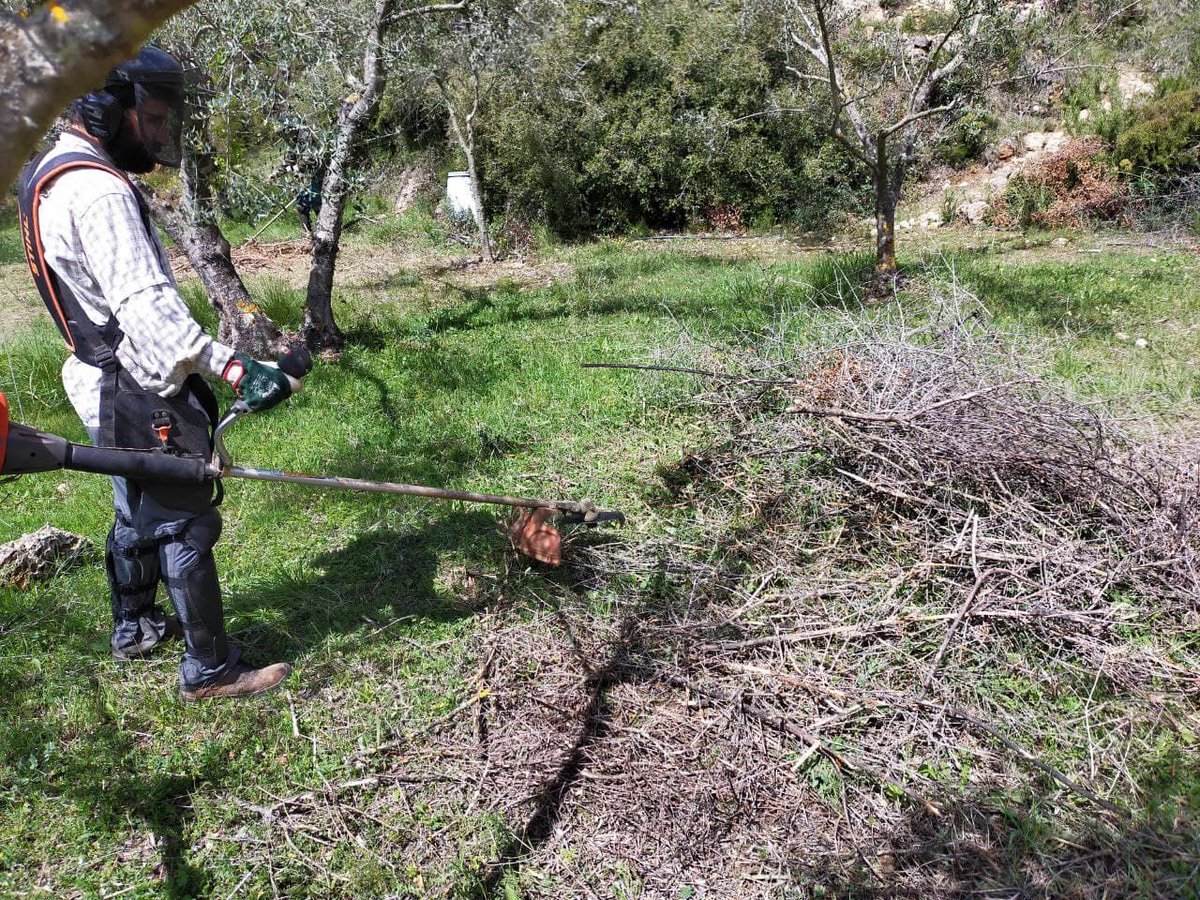 ConnectaNatura's tweet photo. Ens n'anem a #Xinquer!
Durant el cap de setmana, hem triturat les restes de la poda de les oliveres que vam tractar en febrer. Vols saber quins beneficis comporta aquesta tècnica? T'ho contem en la següent entrada!
#ConnectaNatura #MosaicsdeVida #SerraEspadà #agroecologia https://t.co/n5beoG2iZQ