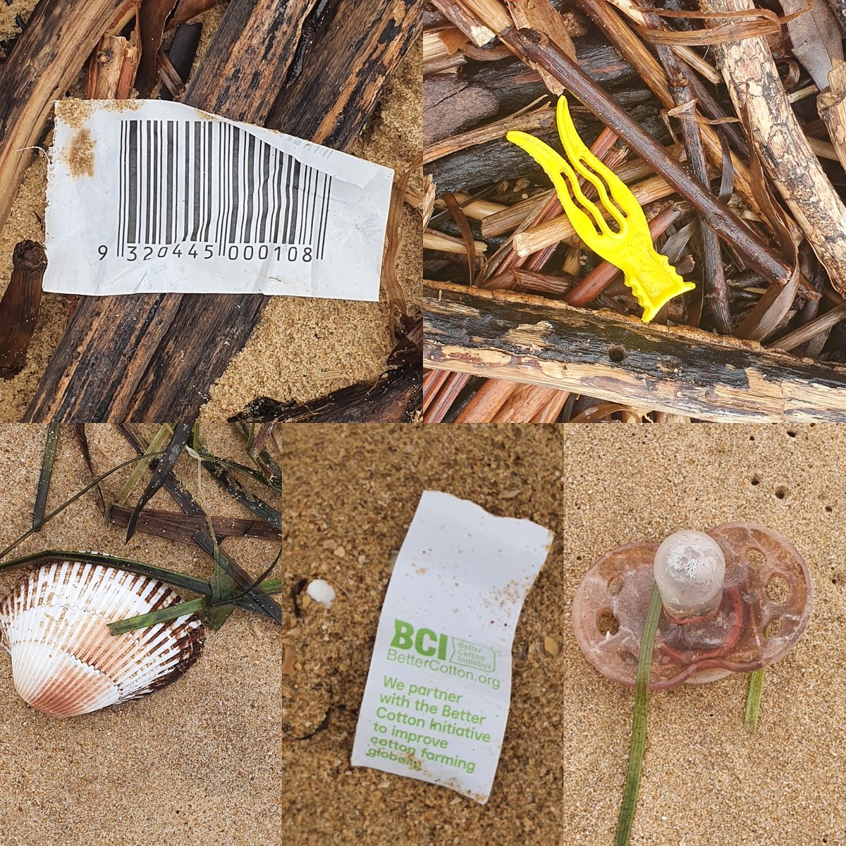 PredictionsSea's tweet image. 